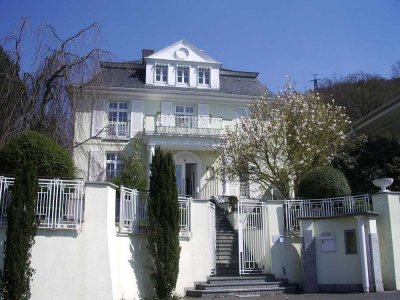 Herrschaftliche Luxus Villa in Erlenbach am Main