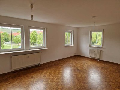 Renovierte großzügige 1-ZW in moderner Wohnanlage mit Balkon, Stadtteil Zellerau!
