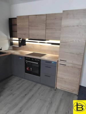 15445 Altmanns 40 Ideal für Heimwerker die eine große Werkstätte zusätzlich brauchen!