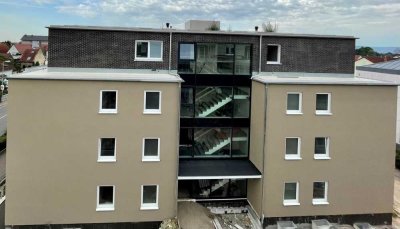 3 ZKB, Gäste-WC, Abstellraum, Dachterrasse, in Dannstadt-Schauernheim