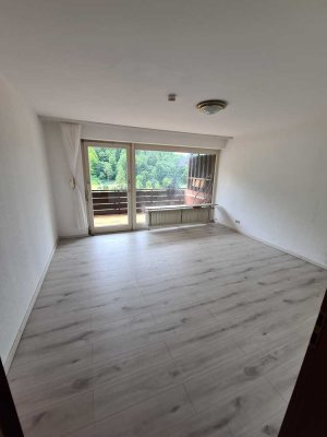 attraktive helle Wohnung mit einem großen Balkon