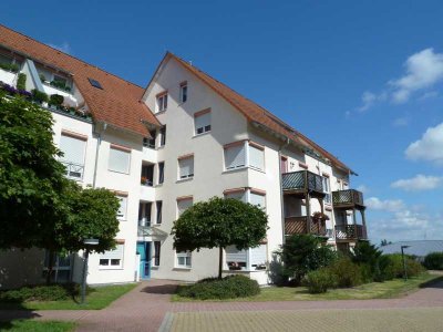 Kleine 2-Zi-Single-Wohnung mit Terrasse, Gartennutzung sowie Aufzug und Tiefgarage!