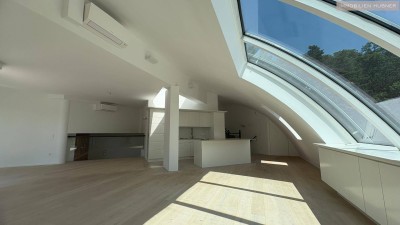 Mitten in Döbling, Wohnung mit 3 Terrassen von 180m2