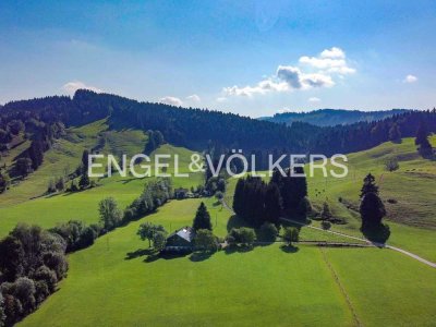 RESERVIERT! Alleinlage! Ehemalige Hofstelle im Grünen mit viel Platz und Potential