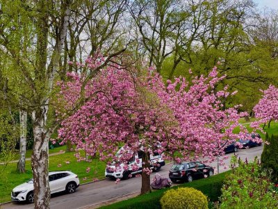 4 Zimmer - Altbauwohnung direkt am Stadtpark Nähe Wakenitz