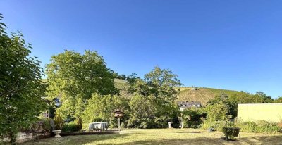 In Triers bester Lage wohnen - umgeben von Weinbergen!