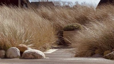 ULI VOGELER GmbH - ÄSTHETIK IN PERFEKTION - REETGEDECKTE HAUSSCHEIBE MIT TRAUMHAFTEN SÜDTERRASSEN