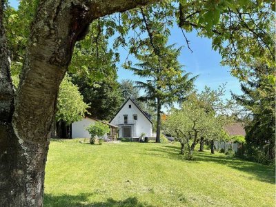 Einzigartige Lage und Ausblick - kernsanierter Massivbau mit A+ und PV-Anlage - nur 25 Min bis Mainz
