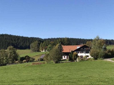 Schöne 3-Zimmer-DG-Wohnung in herrlicher Lage (Eschach bei Buchenberg) als Dauer- oder Ferienwohnung