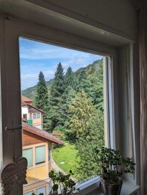 Vermietete 3-Zi.-Whg, Wohnen wo andere Urlaub machen