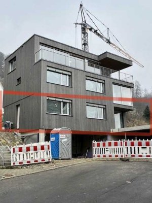 Erstbezug: Architektenhaus mit See- und Alpenblick, gehobene Ausstattung am Sonnenhang