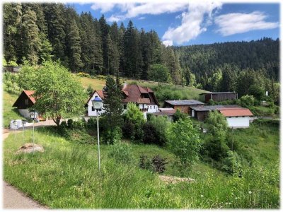 Anwesen in Alleinlage im Schwarzwald mit mehreren Gebäuden
