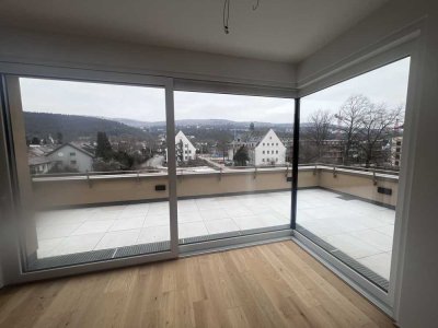 Penthouse 2-Zimmer Wohnung mit Balkon in Heidelberg-Rohrbach