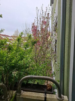 Wohnung zu verkaufen