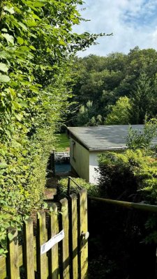 ruhig und idyllisch gelegenes Einfamilienhaus direkt am Waldrand in Meisdorf