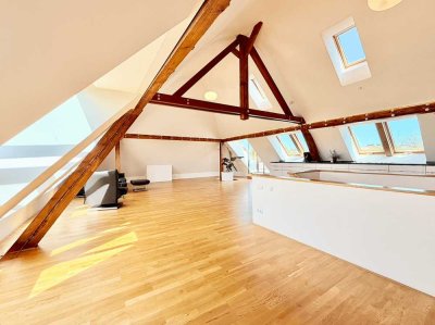 EINZIGARTIG – Altbau-Traum mit großer Dachterrasse und direktem Blick auf Ruhmeshalle / Bavaria