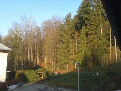 2 ZKB Wohnung mit 61 qm direkt am Waldrand von Meckesheim