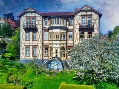Ihre noble Villenetage mit Panoramakamin vis á vis vom Welfenschloss !