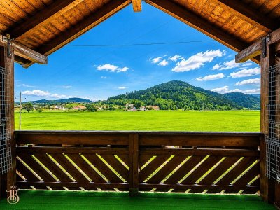 Großzügig wohnen mit Grünblick | 4 Zimmer • 2 Carports • Kamin &amp; Klima - in Feldkirchen