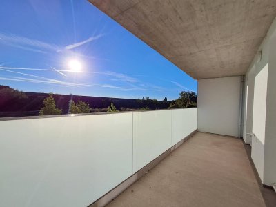 WEINZIERL XIII B - 20