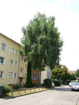 Gemütliche 2-Zimmer Wohnung mit Balkon in Hohenkreuz