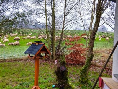 Stockhausen - Illfurth - EINFAMILIENHAUS FREISTEHEND - BLICK INS GRÜNE  -