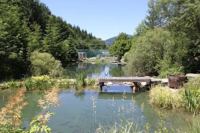 Idyllische Ruhelage im Grünen mit Bade/Fischteichen!