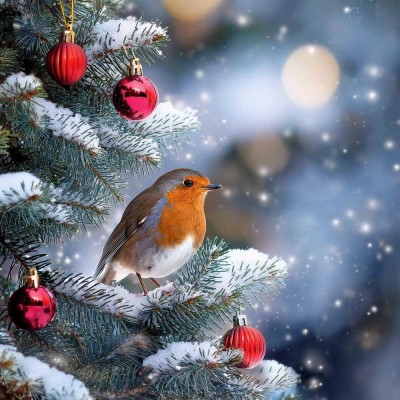 Ein letztes Grundstück in einer Wohnsiedlung in 2. Reihe