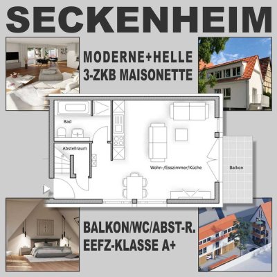 Maisonette OG/DG 3-ZKB Balkon