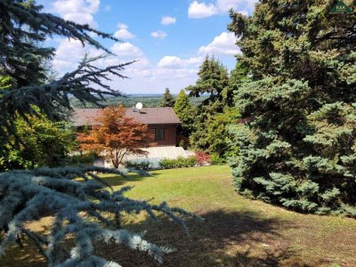 TRAUMLAGE MIT POOL AM HUNDSHEIMER BERG - FERNBLICK