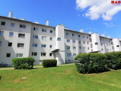 Neu sanierte Singlewohnung mit Dusche!