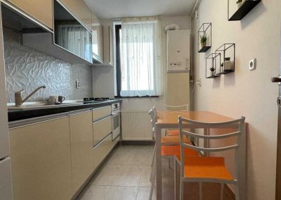 Stilvolle, modernisierte 2-Raum-Wohnung mit Balkon und EBK in Bad Säckingen