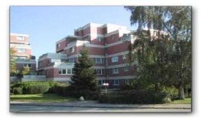 Großzügige 2-Zimmer-Wohnung mit einer Sonnenterrasse