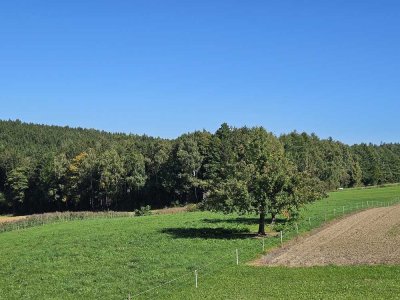 Wohnjuwel auf dem Land, Helle 4-Zimmer DG-Wohnung mit 2 Balkone
