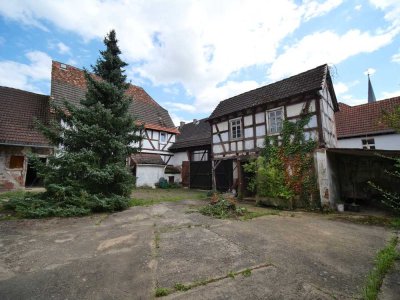 Sanierungsbedürftige Hofreite Babenhausen-Langstadt, z.B. Mehrgenerationen-Wohnen, Wohnen + Arbeiten