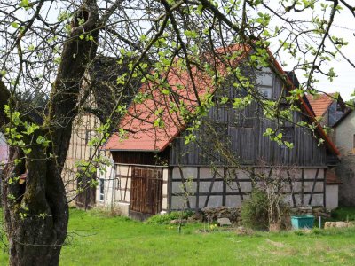 Altes Bauernhaus auf 4.114 m² Grundstück mit wunderschöner Scheune