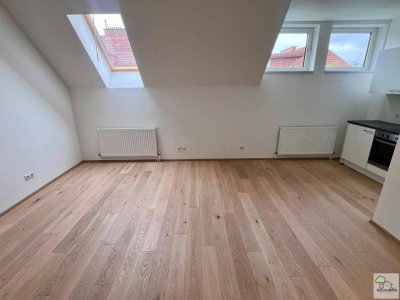 1190 Wien- DG. WOHNUNG IN RUHELAGE