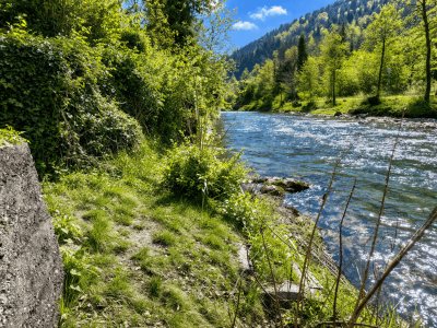 Rarität in Reichenau an der Rax! Zentrumsnahe Eigentumswohnung mit Eigengrund direkt an der Schwarza!