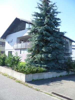 Glücksgriff 3,5-Zimmer -Dachgeschosswohnung