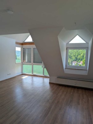 Neu renovierte 3-Zimmer-Etagen-Wohnung in Pappenheim