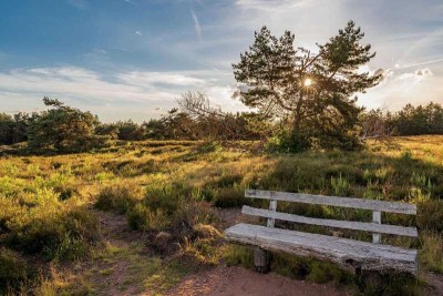 2 Balkone, 1 Terrasse & eigener Garten - Highlightwohnung an der Heide!