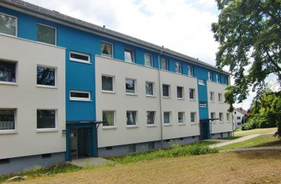 * 1 Kaltmiete frei * renovierte 3-Zimmerwohnung im Grünen *