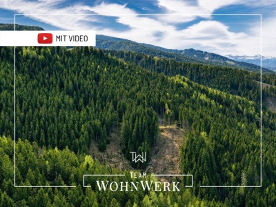 Almhütte in absoluter Alleinlage | Eigenwald &amp; eigene Quelle | Stubalpe