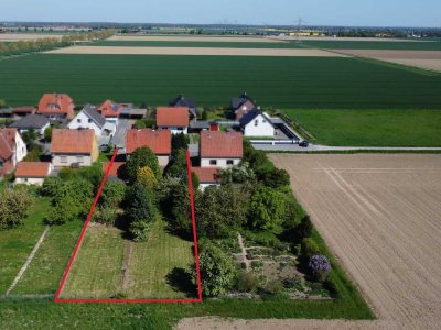 Am Feldrand: Siedlungshaus in Liedingen