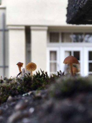 Stadtvilla im Neoklassizistischen Stil, Einzeldenkmal, volle AFA, Villa VB, Grundstück 550.000€