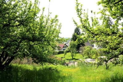 Grundstück mit Altbestand in Hang/Waldrandlage für Naturliebhaber in Altenstadt/Iller