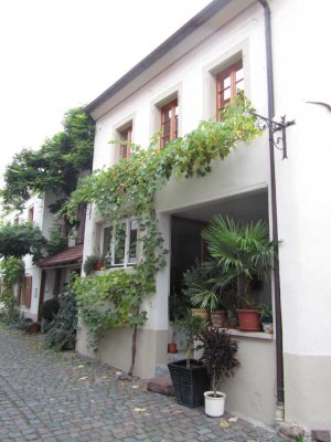 2-Zimmer Haus in Freinsheim ohne Garten befristet zu vermieten