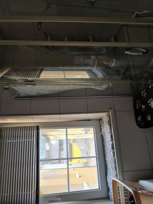 Objektbeschreibung