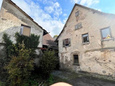 Landwirtschaftliches Anwesen mit diversen Gebäuden im Ortskern