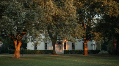 Exklusives Familienanwesen oder Unternehmer-Domizil mit Außenwirkung in Fürth Dambach